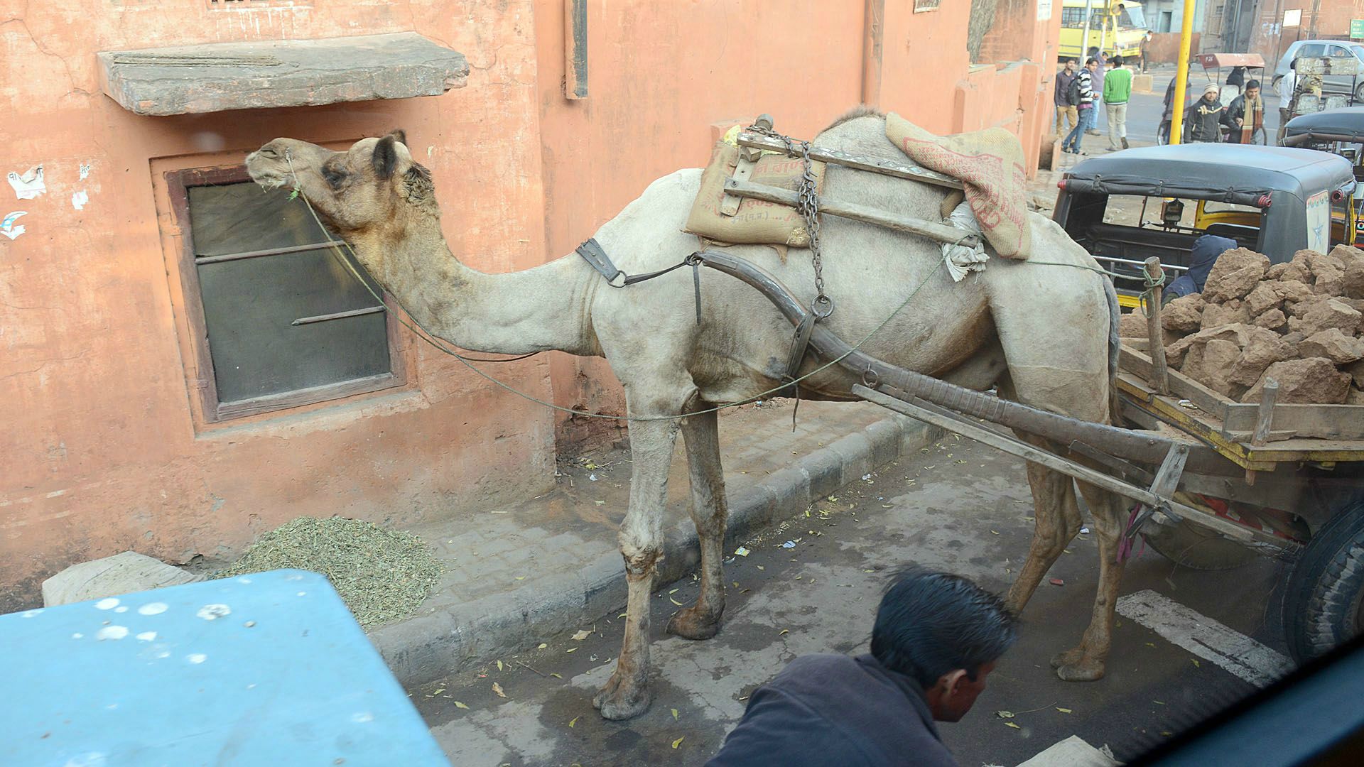 Jaipur